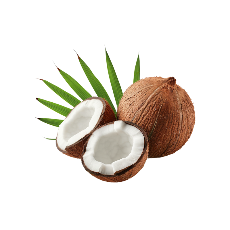Kokosmilchpulver