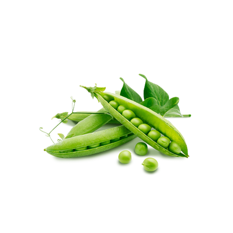 Erbsenproteinpulver 85%