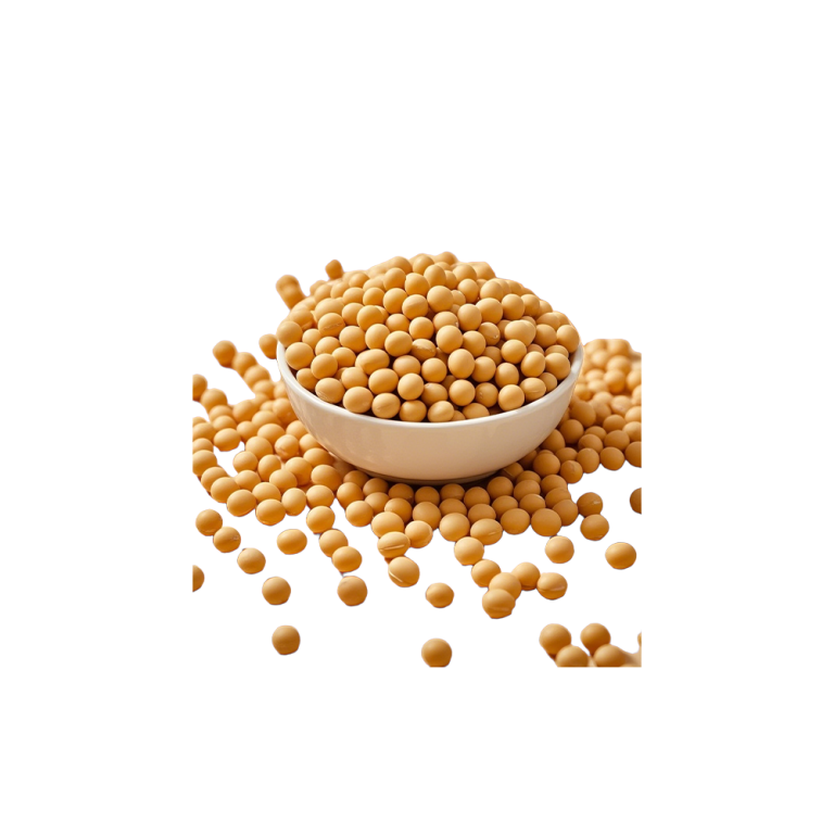 Reines Sojaproteinpulver