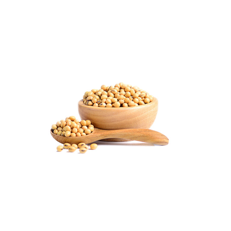 Sojaproteinisolat-Pulver