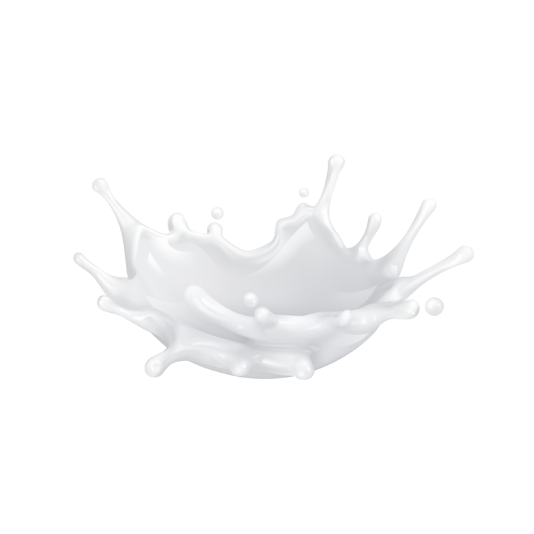Molkenprotein-Isolat-Pulver