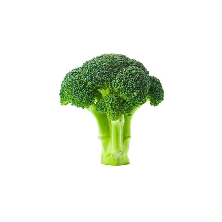 Makrofotografie einer frischen Blüte von Brassica oleracea var. italica