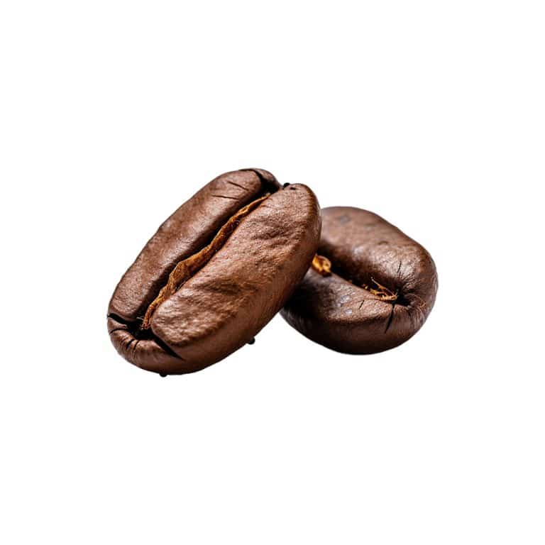 Makrofotografie von fermentierten Theobroma-cacao-Kakaobohnen-Nibs