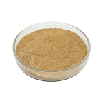Light yellow Milk Thistle Extract fine powder detail