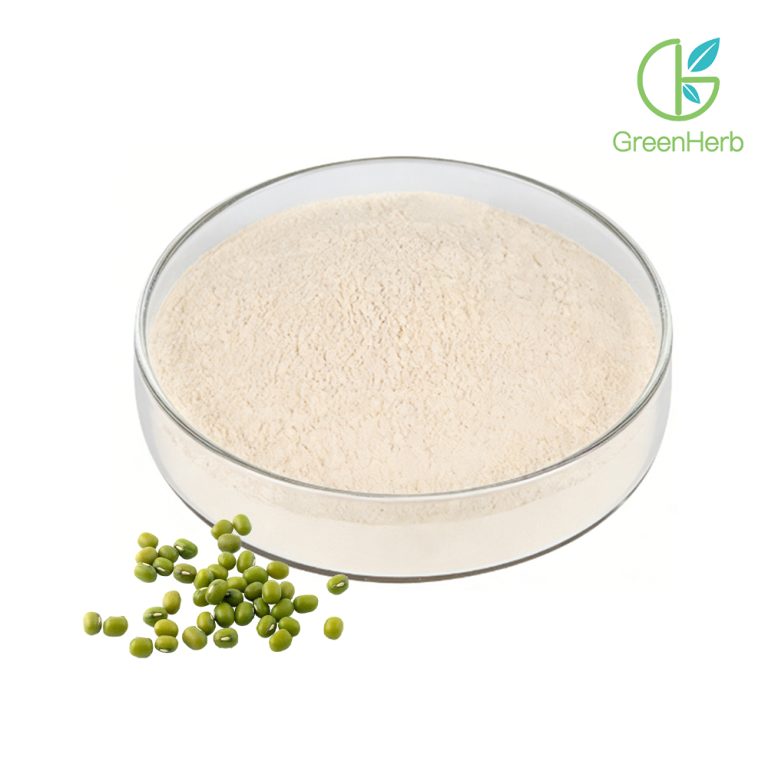 Mung-Proteinpulver – Nahaufnahme der Textur