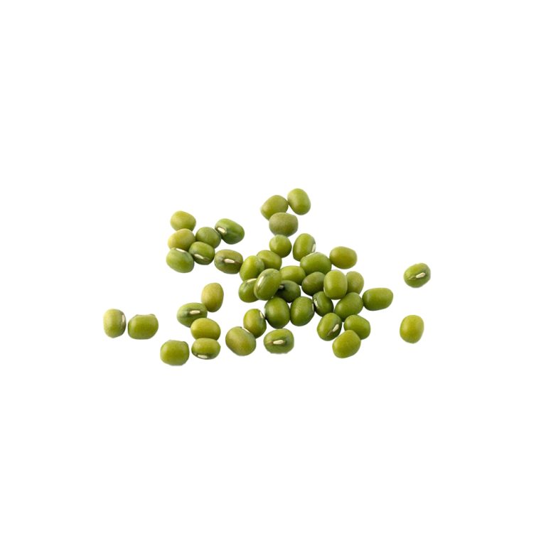 Makrofotografie von grünen Mungbohnen der Sorte „Vigna radiata“
