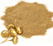 Maca-Extrakt-Pulver, cremefarben-gelbbraun, Nahaufnahme