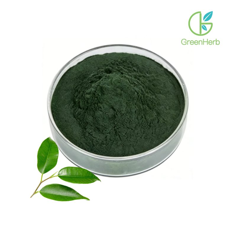 Nahaufnahme der Textur von Natrium-Kupfer-Chlorophyllin-Pulver